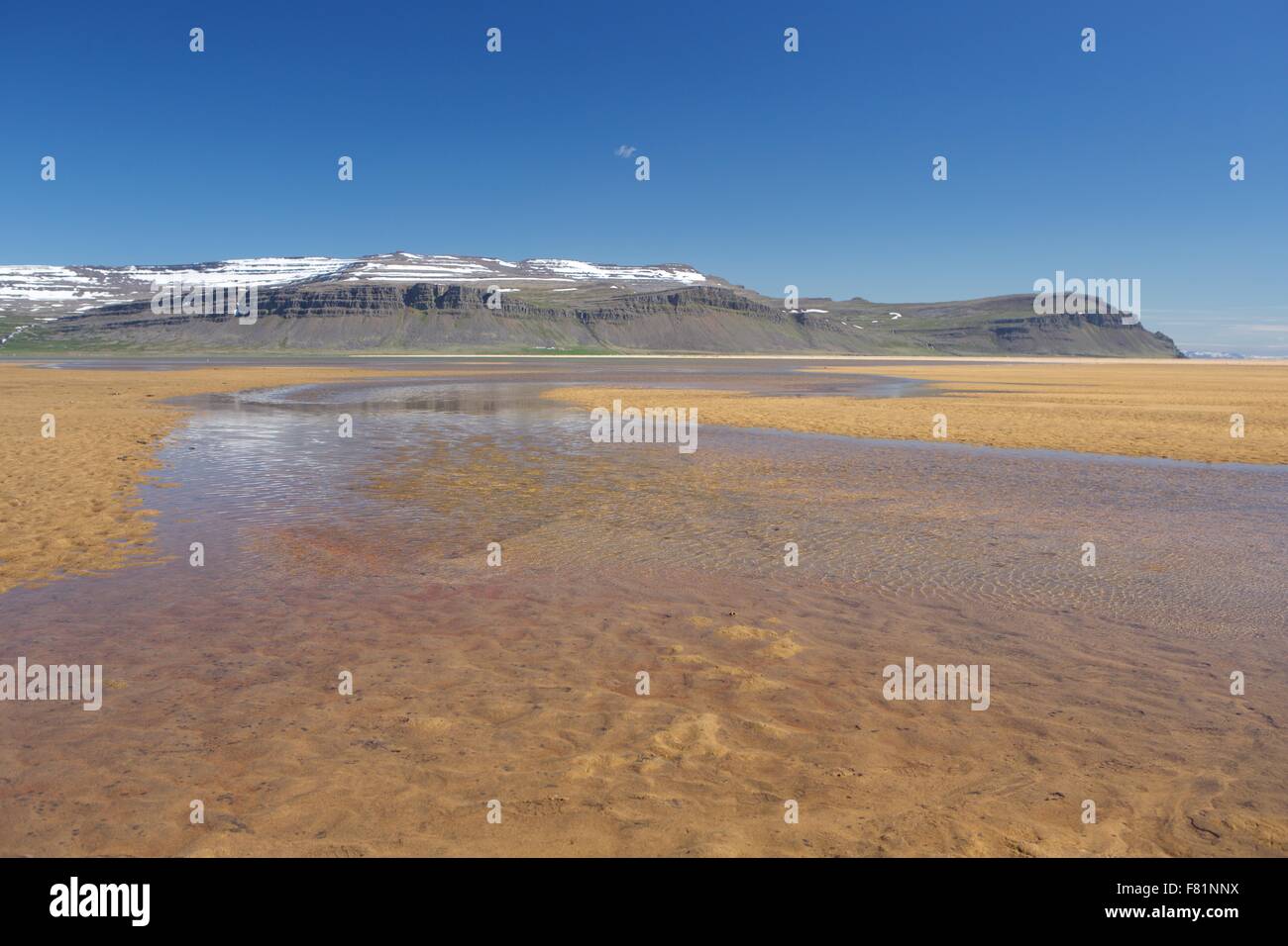 Raudissandur è una fantastica rosso/rosa spiaggia di sabbia nel Westfjords dell Islanda. Foto Stock