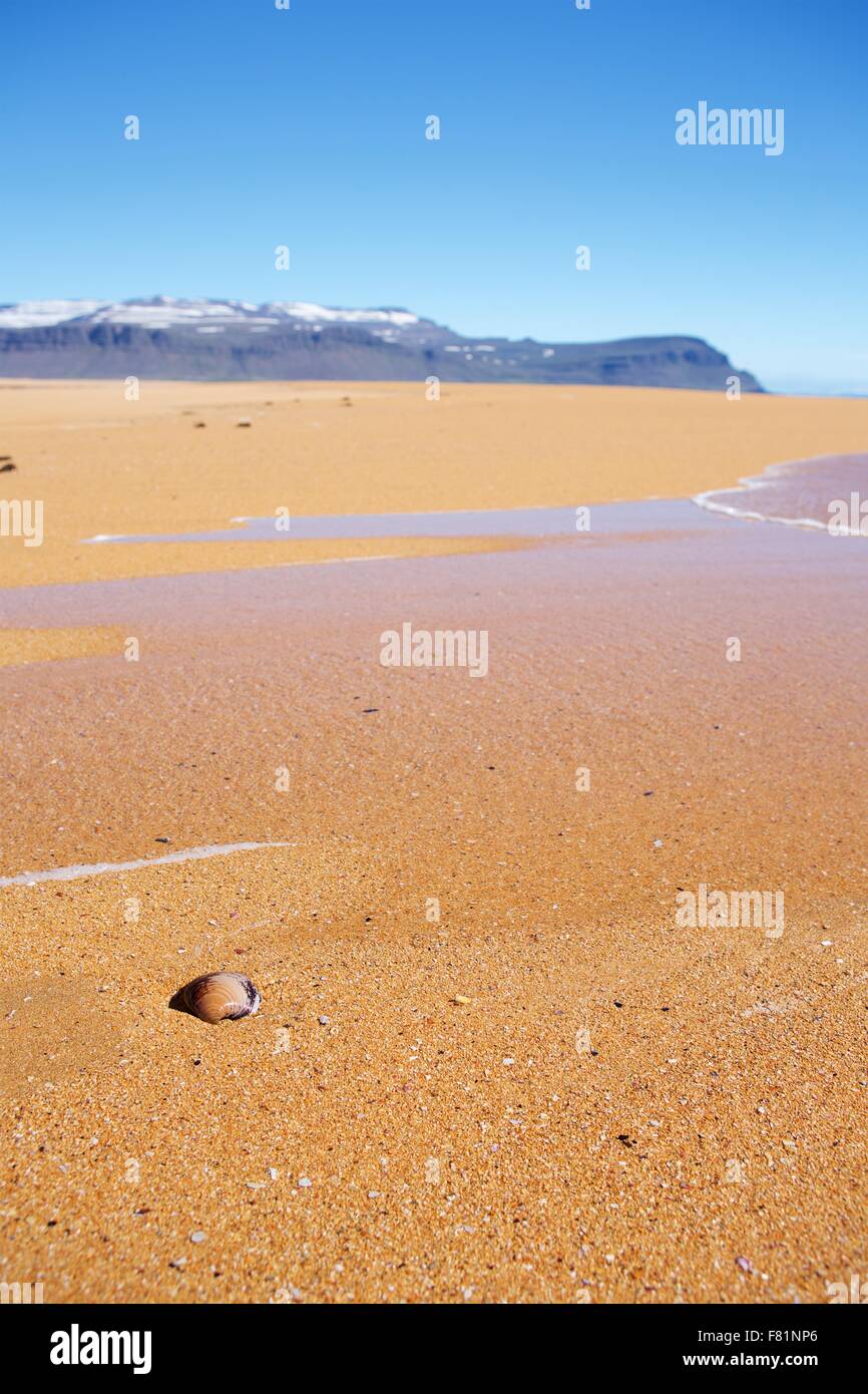 Raudissandur è una fantastica rosso/rosa spiaggia di sabbia nel Westfjords dell Islanda. Foto Stock