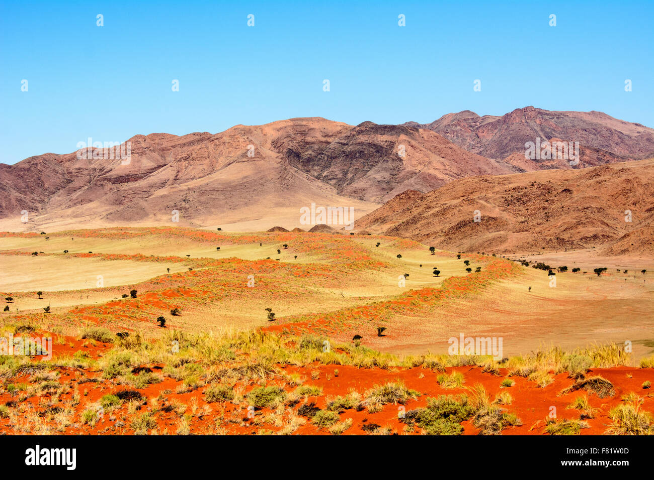La bellissima Naukluft montagne di Namibia Foto Stock