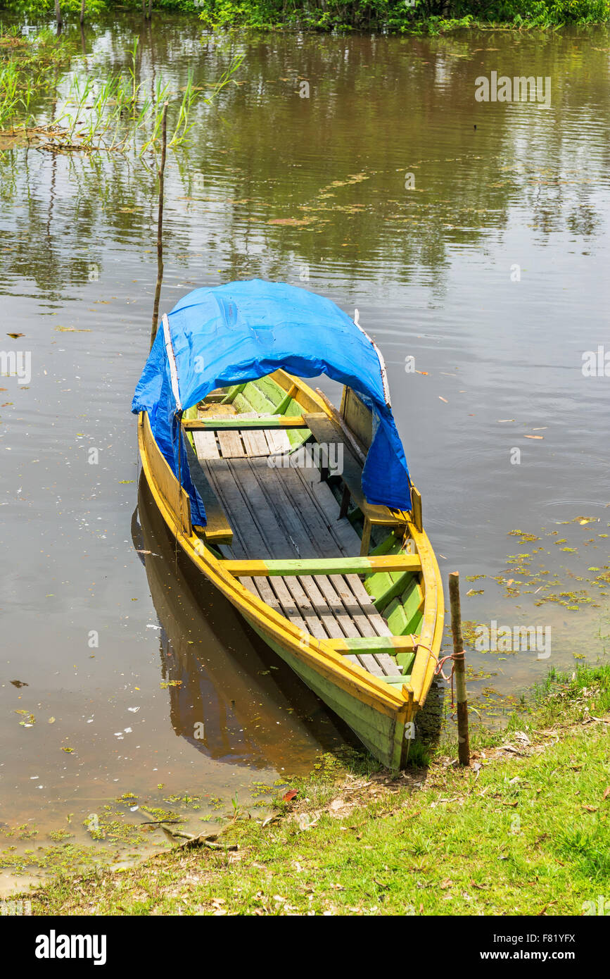 Vista di un verde e giallo canoa sul fiume Javari nella foresta amazzonica in Brasile Foto Stock