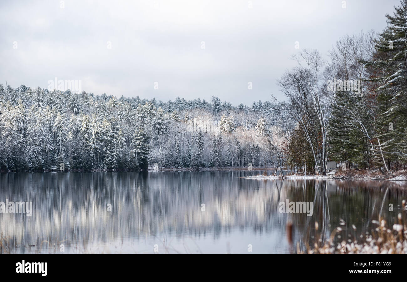 Inverno riflessioni di foresta. Mirage su un ancora non gelate lago. Foto Stock
