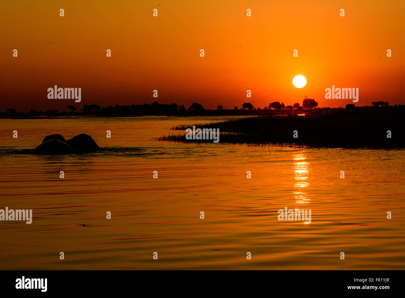 Un tramonto Africano sul fiume Chobe Foto Stock
