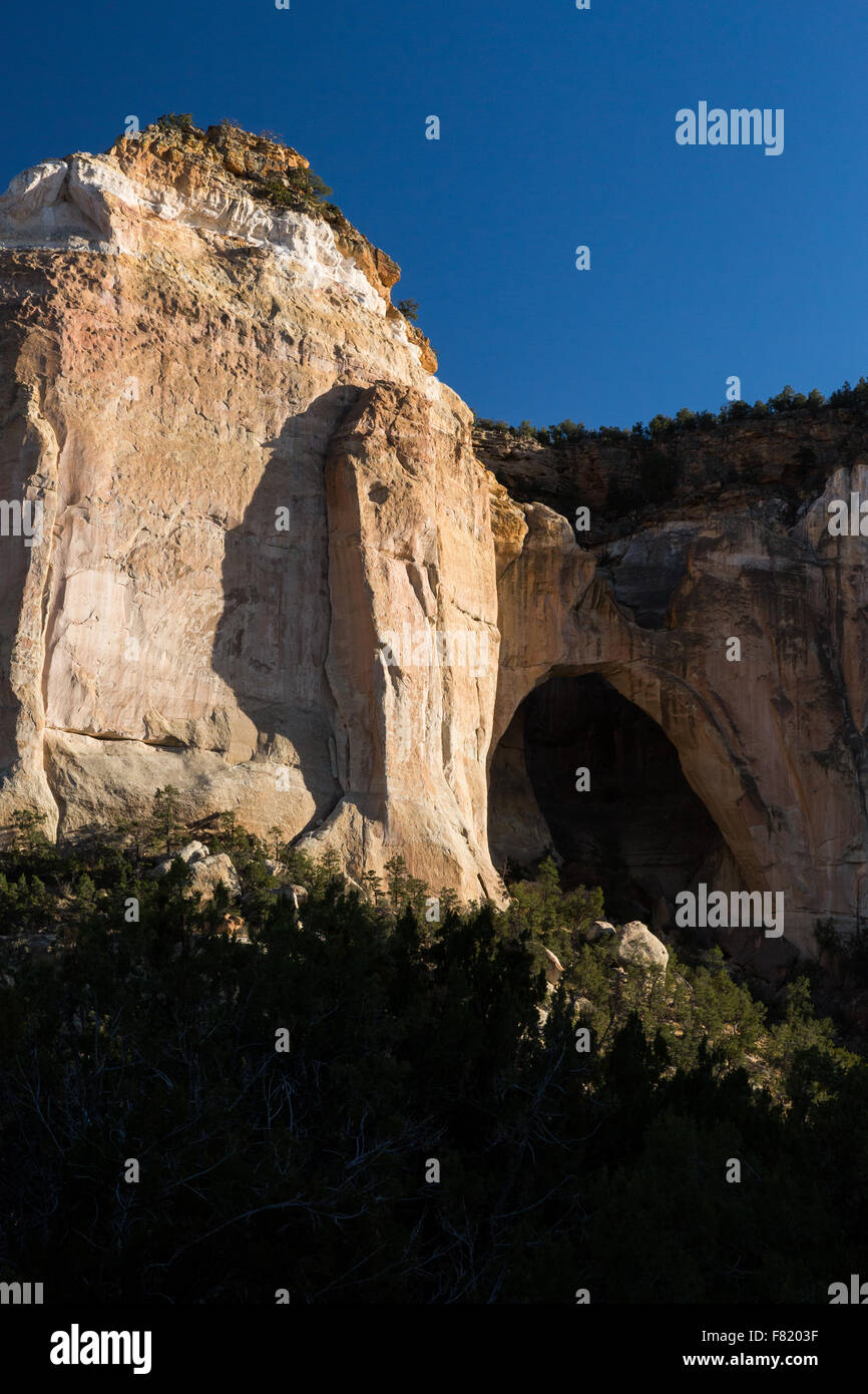 La ventana Arch tagliare attraverso la pietra arenaria per creare nuovo Messico della seconda più grande arco naturale, El Malpais monumento nazionale, nuovo Foto Stock