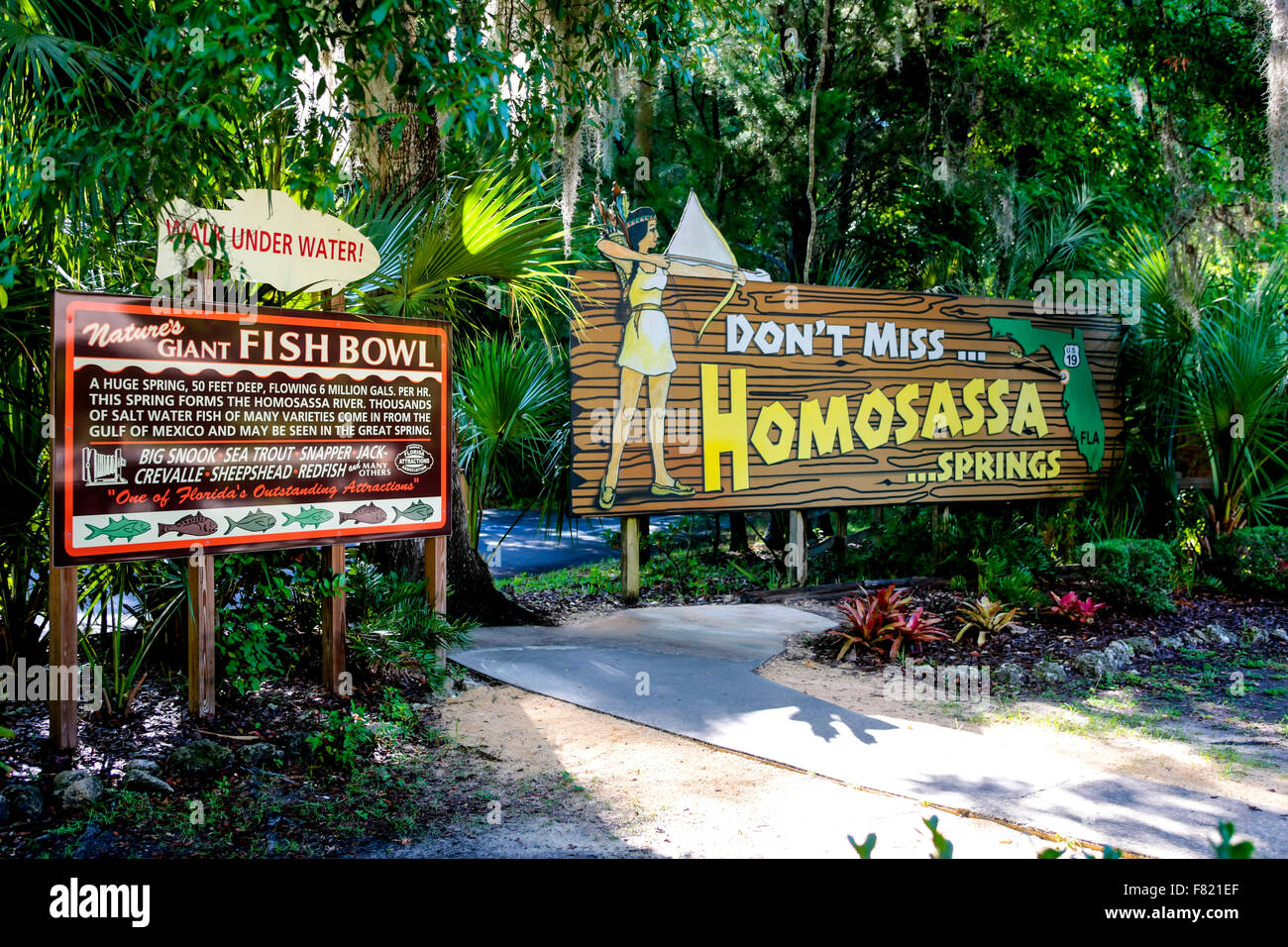 Cartelli pubblicitari per nature gigante Terrina di pesce e Homosassa Springs in Florida Foto Stock