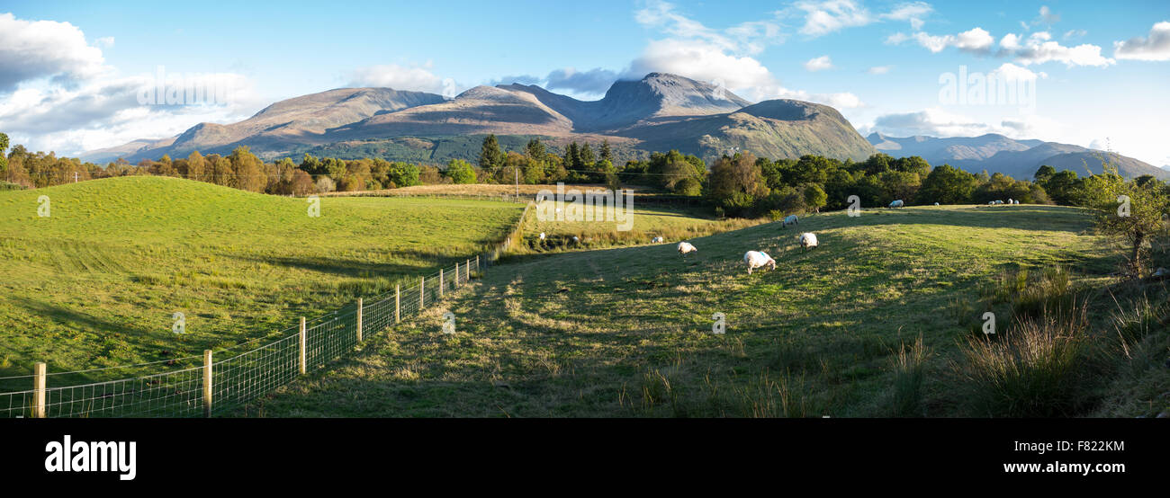 Ben Nevis dal vicino a terreni agricoli a corpach Foto Stock