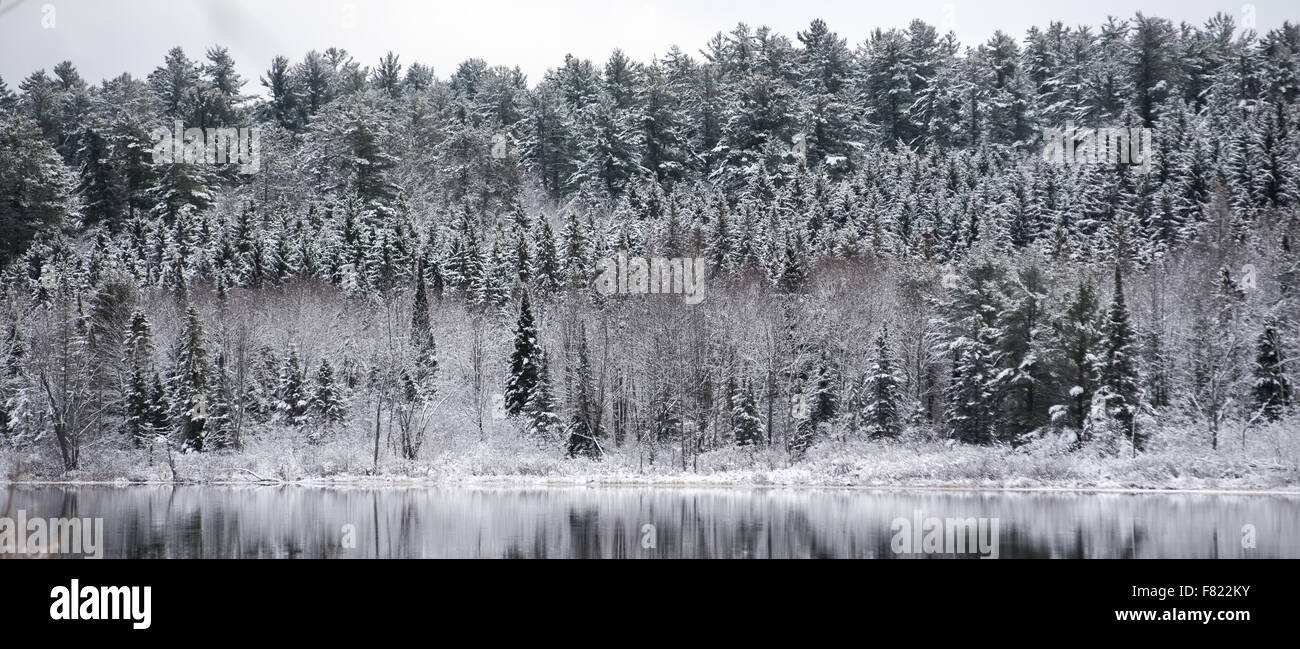 Inverno riflessioni di foresta. Mirage su un ancora non gelate lago. Foto Stock