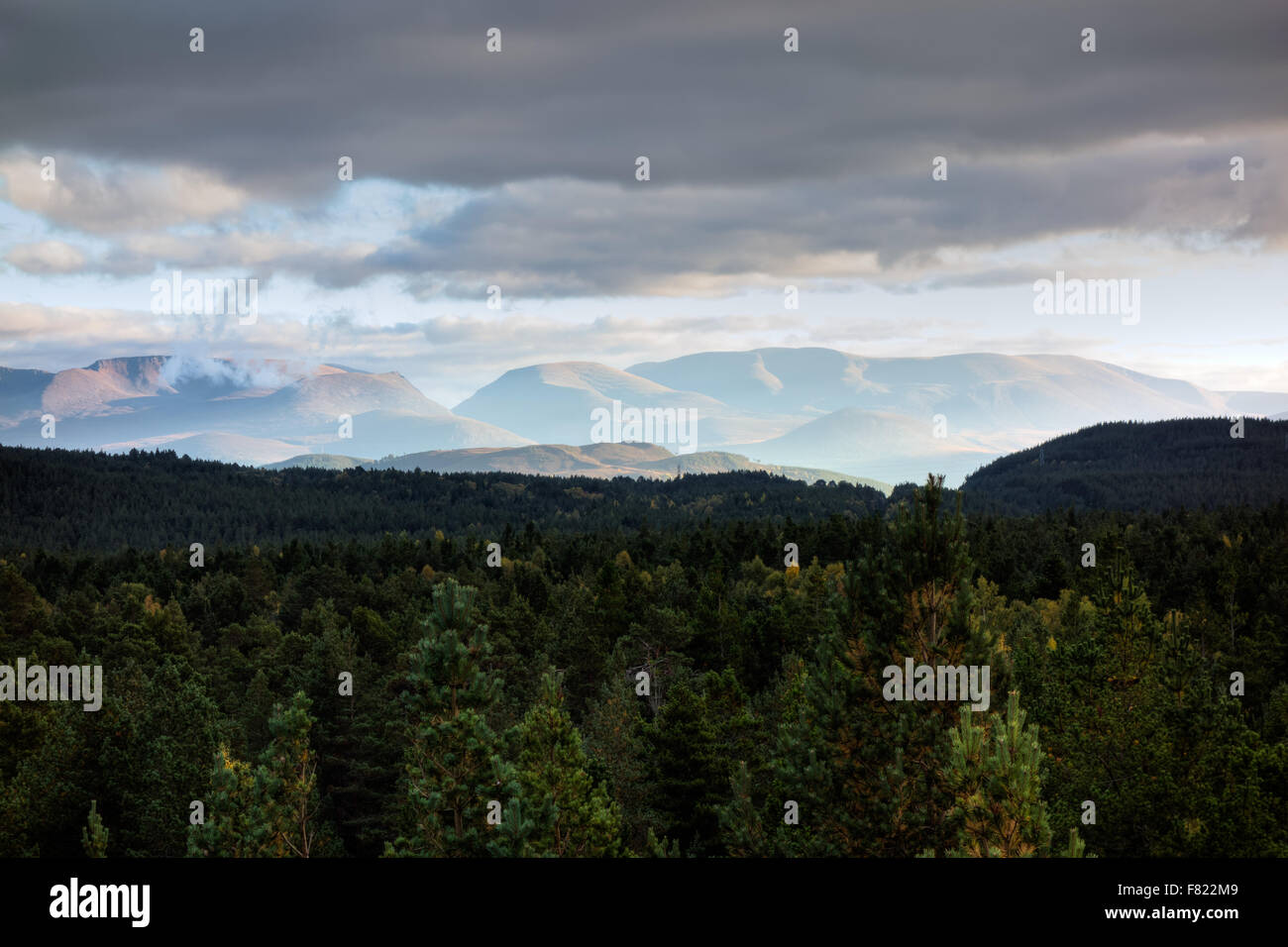 La cairngorm montagne al tramonto Foto Stock