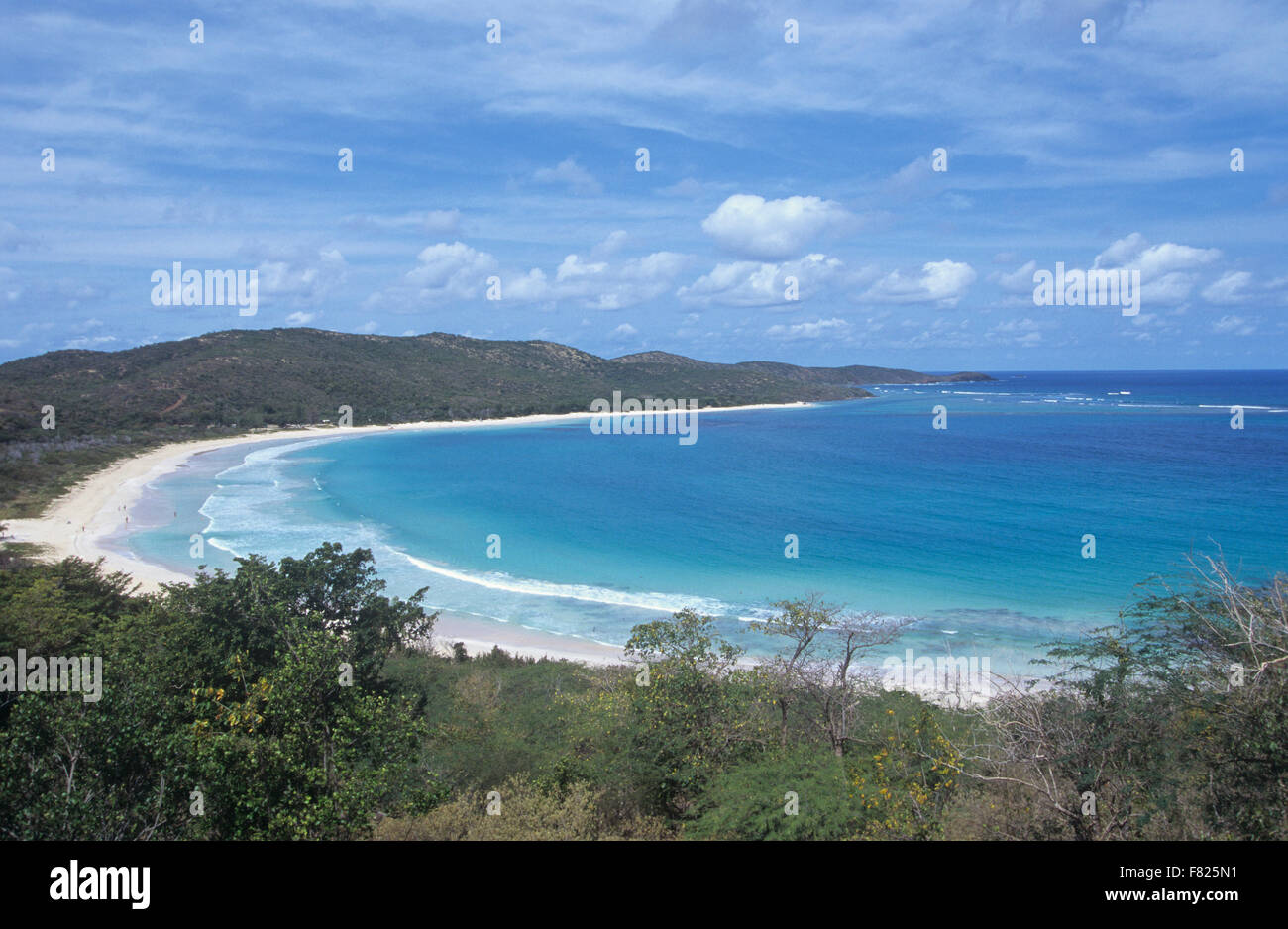 Spiaggia di flamenco è adagiata in una baia a ferro di cavallo in Culebra Island, Puerto Rico. Foto Stock