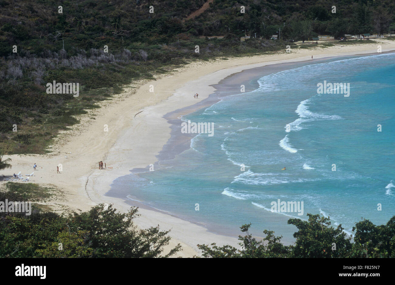 Spiaggia di flamenco è adagiata in una baia a ferro di cavallo in Culebra Island, Puerto Rico. Foto Stock