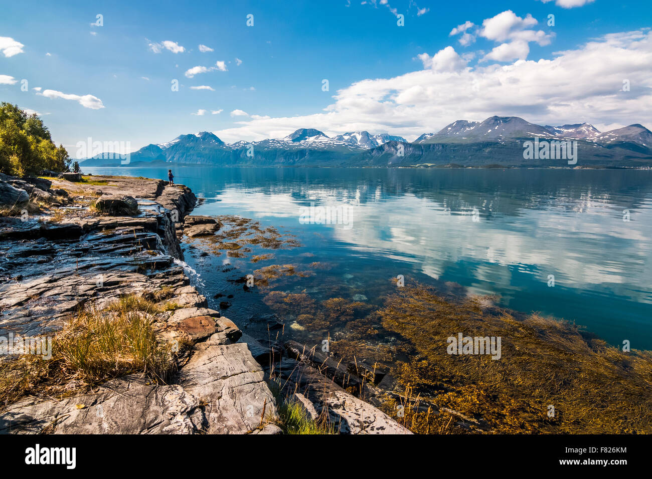 Pesca nel fiordo di Lyngen Foto Stock