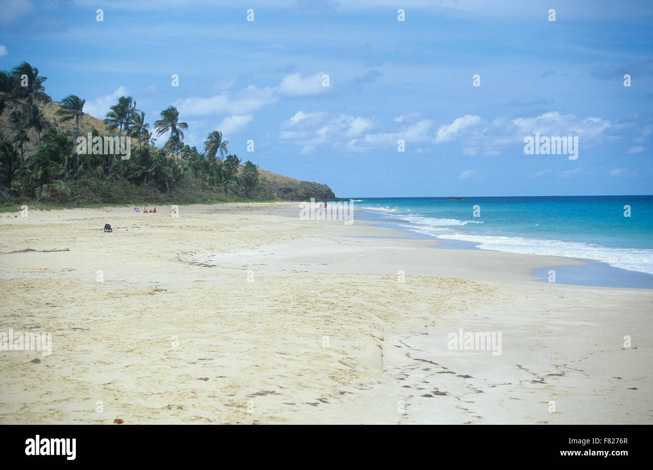 Raramente affollate, Zoni Beach è una buona alternativa alla trafficata Flamenco sulla spiaggia di Culebra Island, Puerto Rico. Foto Stock