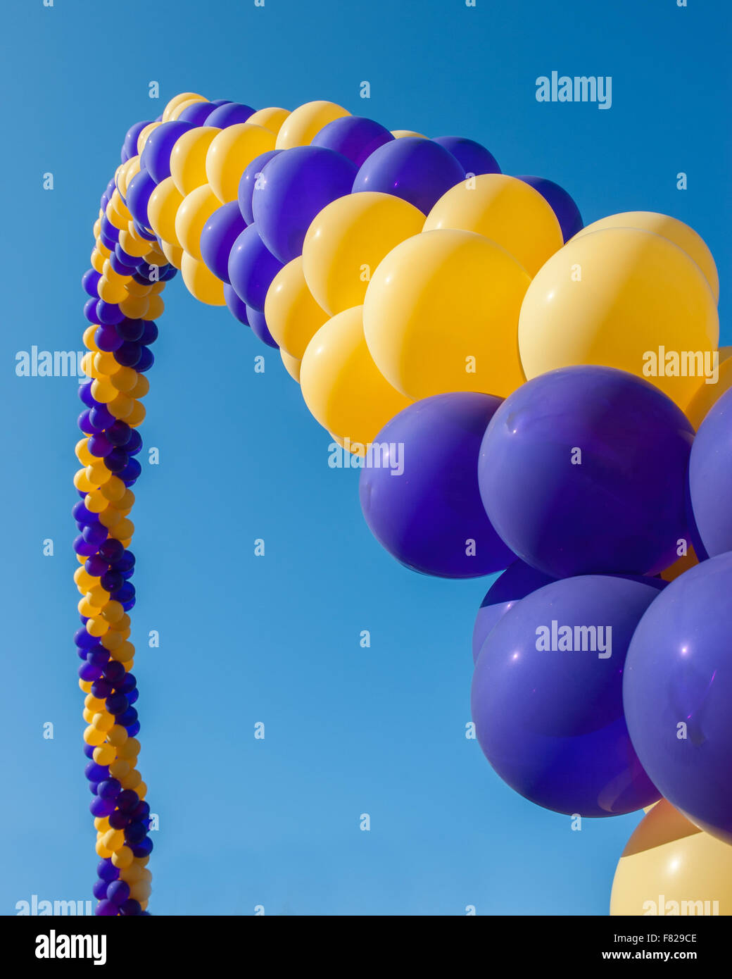 Di palloncini di porpora e oro Foto Stock