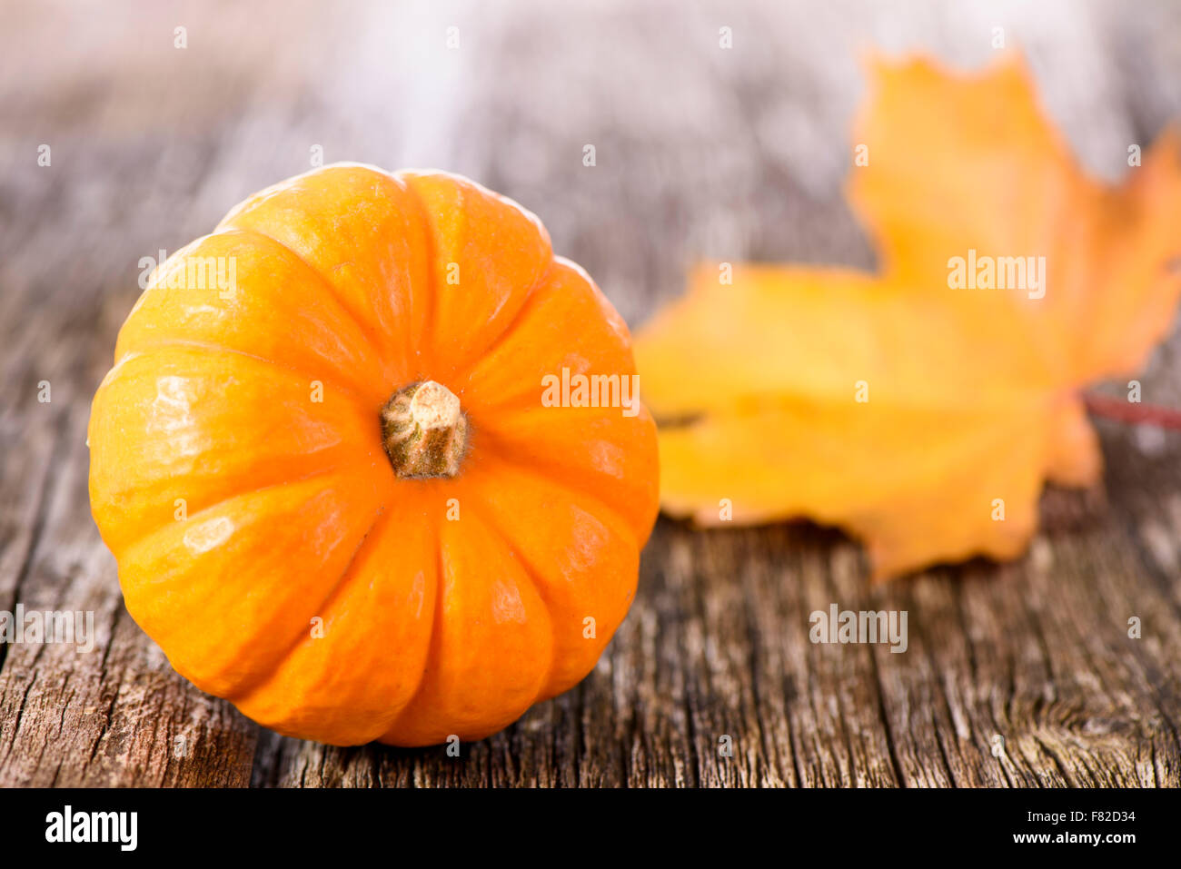 Frutti di zucca come decorazione in autunno Foto Stock
