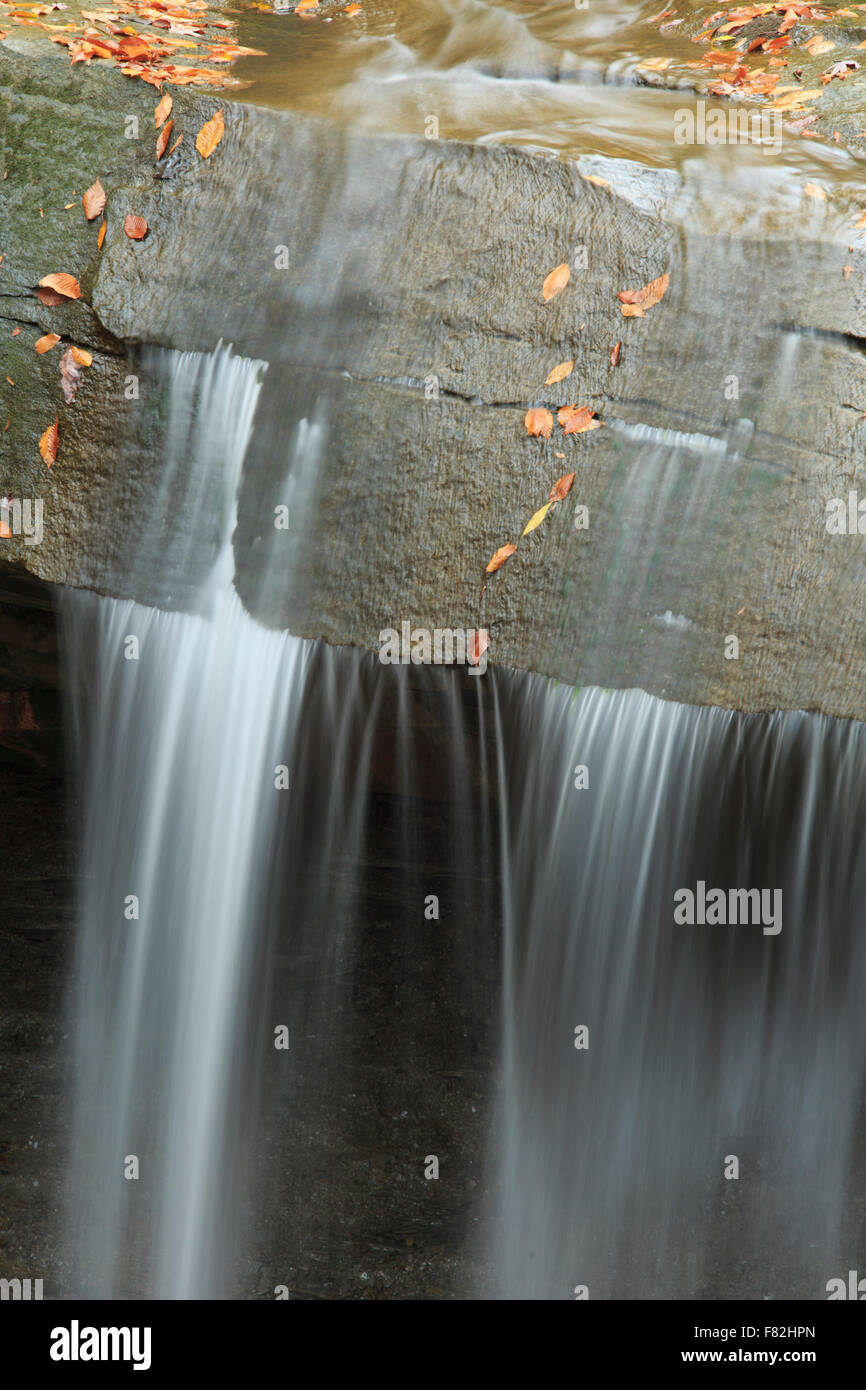 Dettaglio della cascata (blu Hen Falls, Cuyahoga Valley National Park) Foto Stock