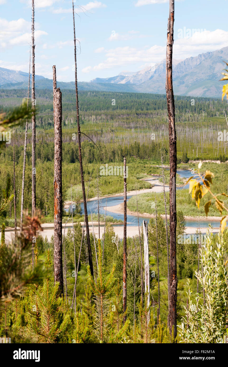 North Fork Flathead River e Glacier National Park, Montana USA. Foto Stock