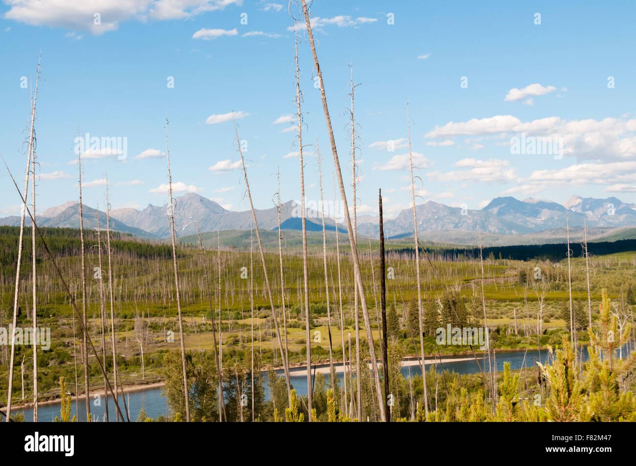 North Fork Flathead River e Glacier National Park, Montana USA. Foto Stock