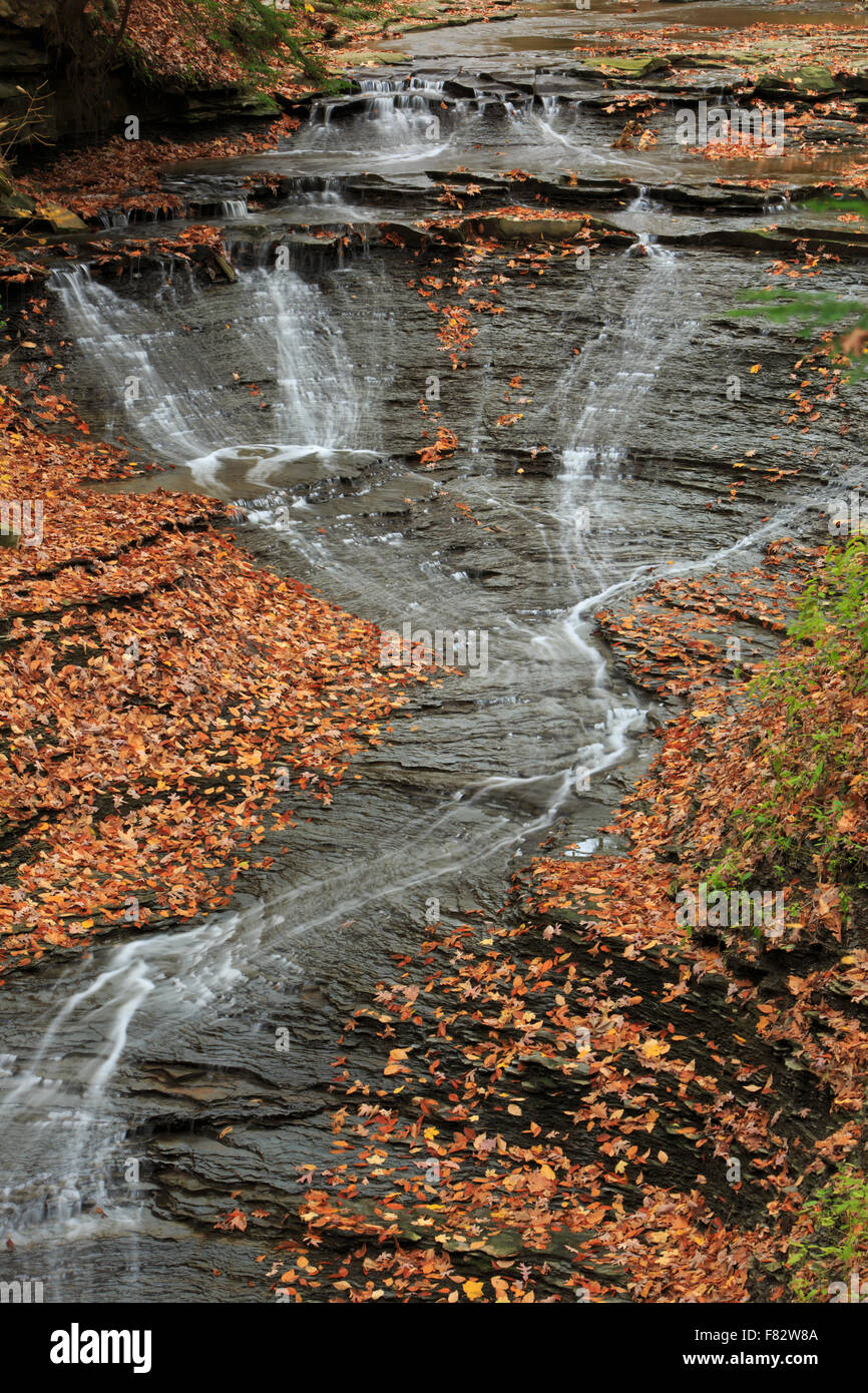 Velo nuziale cade in autunno, Bedford Prenotazione, Cleveland, Ohio, nei pressi di Cuyahoga Valley National Park Foto Stock