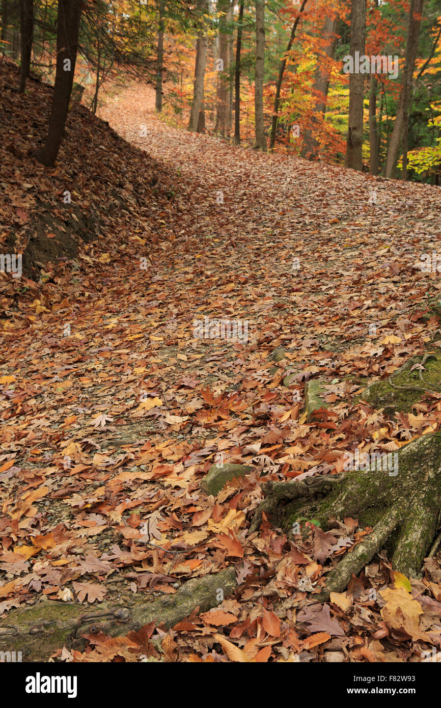 Horse Trail a Bridal Veil Falls, Bedford Prenotazione, Cleveland Metro parchi, nei pressi di Cuyahoga Valley National Park. Foto Stock