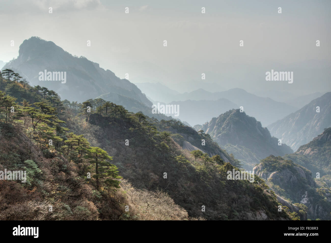 Giallo - Montagne Huangshan Anhui Provincia della Cina LA008401 Foto Stock