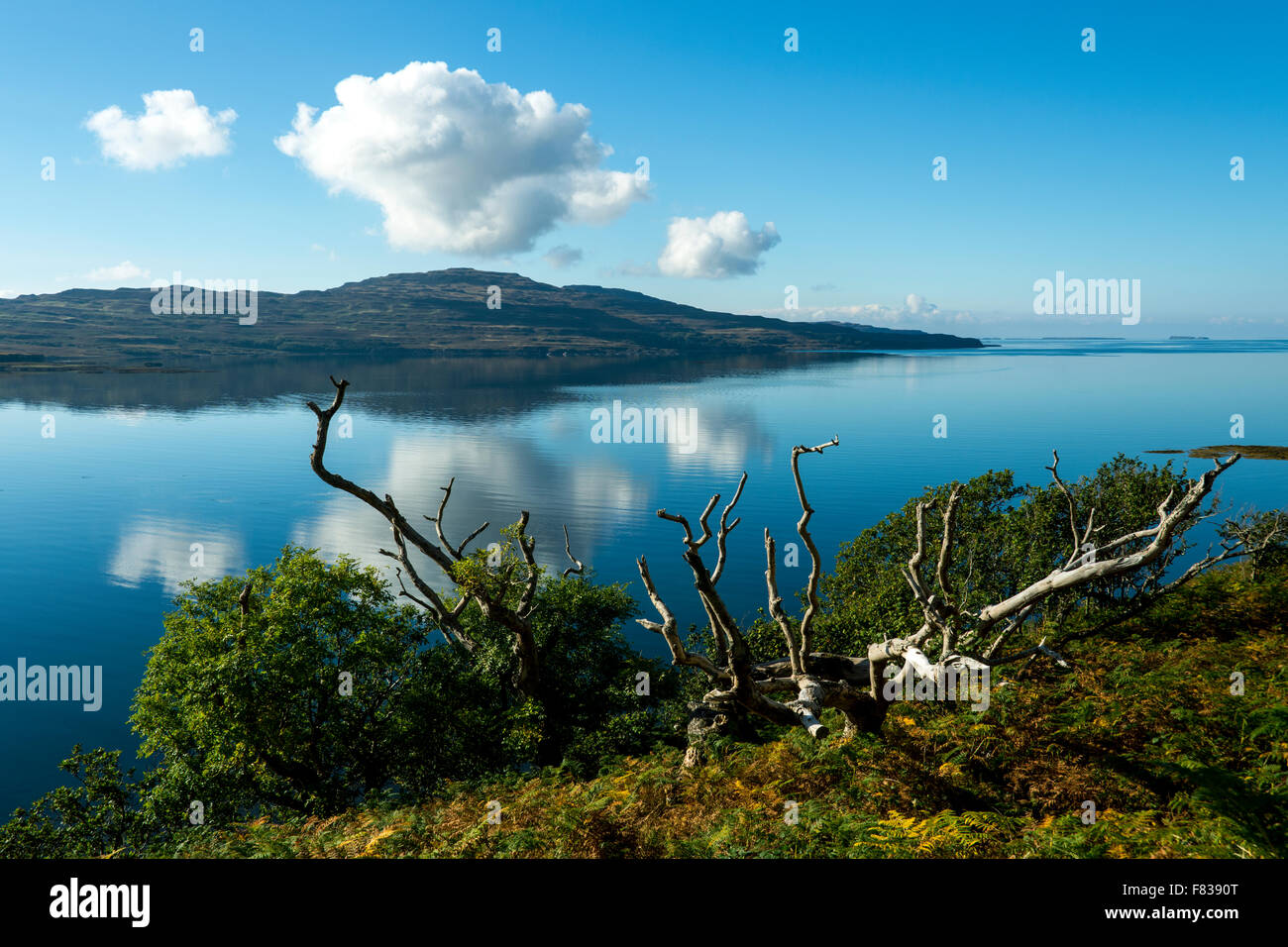 L'isola di Ulva sopra Loch Tuath, dal vicino Kilbrennan, Isle of Mull, Argyll and Bute, Scotland, Regno Unito Foto Stock