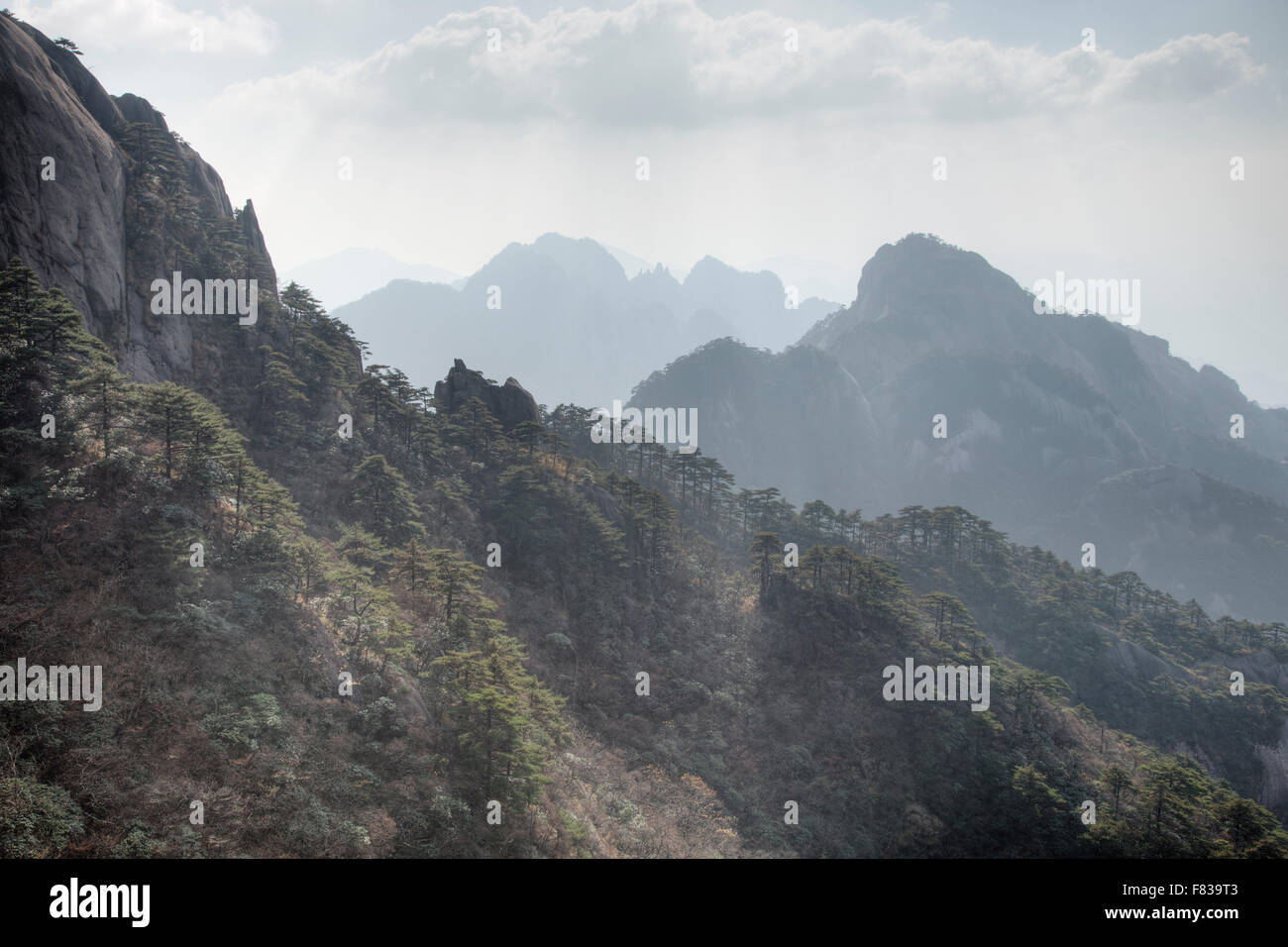 Giallo - Montagne Huangshan Anhui Provincia della Cina LA008425 Foto Stock