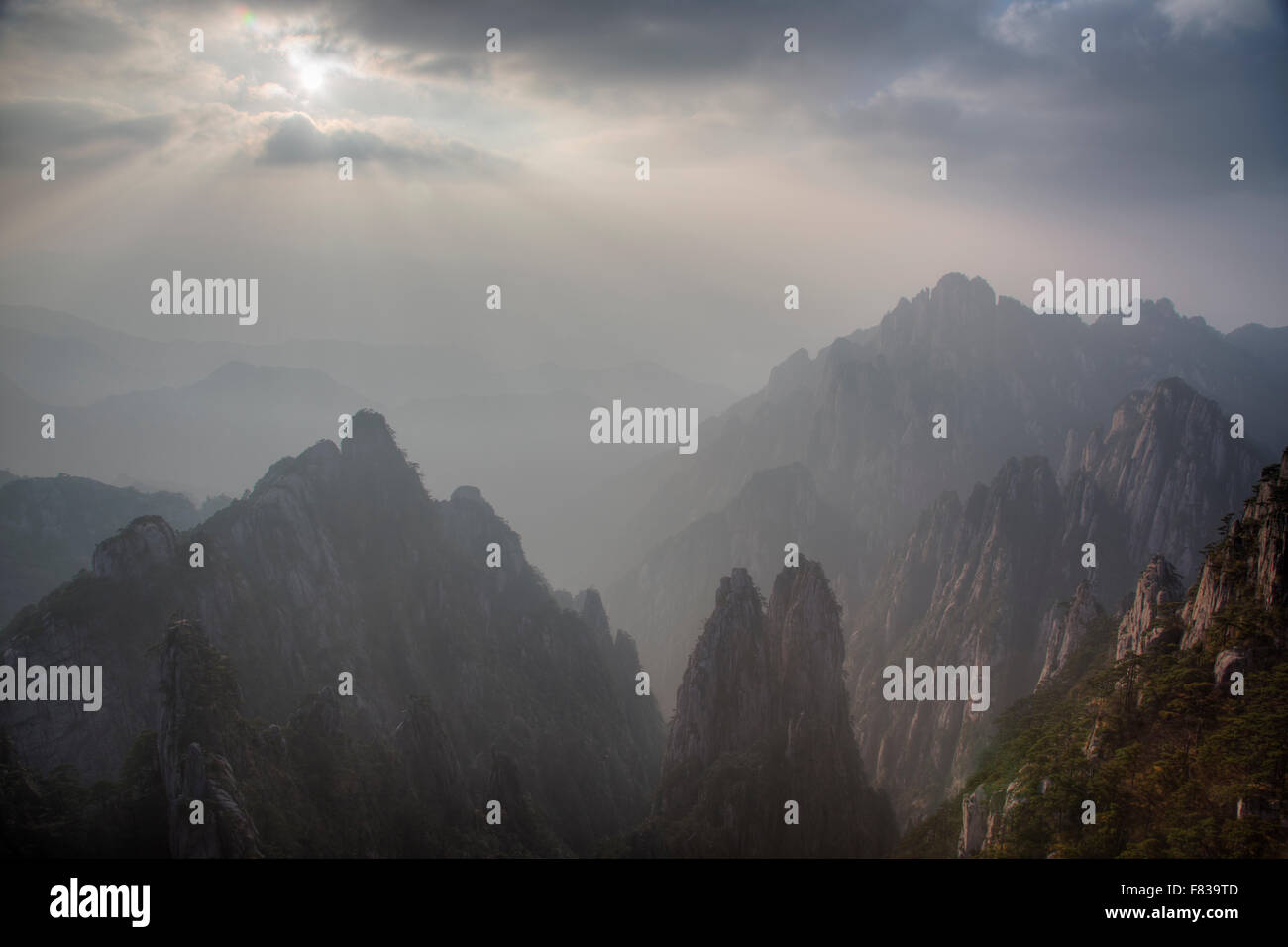 Giallo - Montagne Huangshan Anhui Provincia della Cina LA008437 Foto Stock