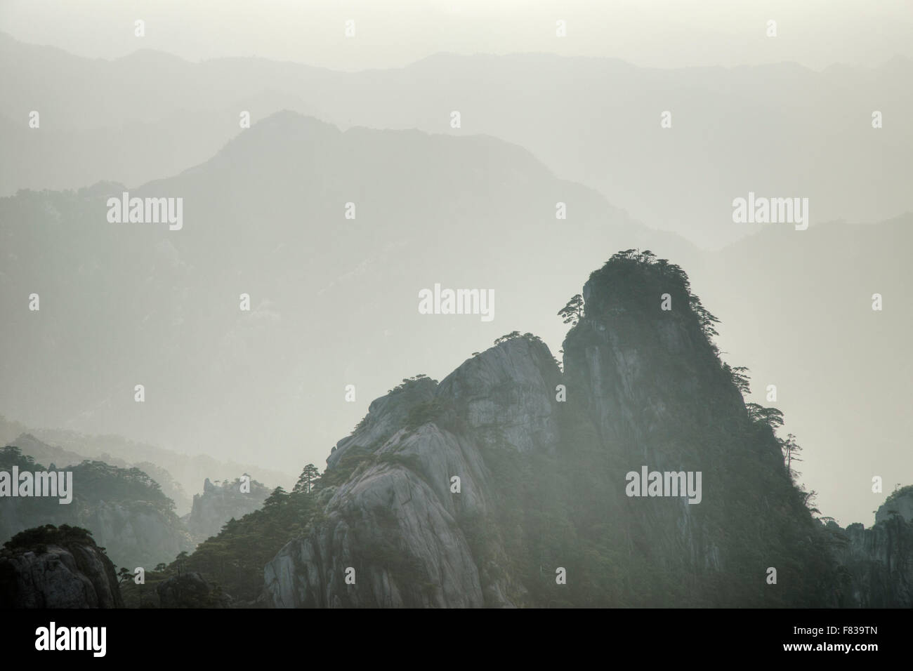 Giallo - Montagne Huangshan Anhui Provincia della Cina LA008441 Foto Stock