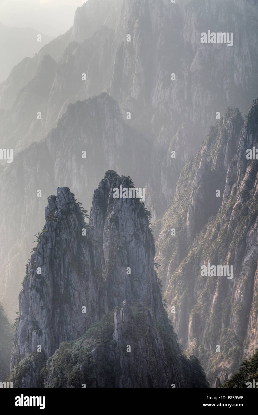 Giallo - Montagne Huangshan Anhui Provincia della Cina LA008445 Foto Stock