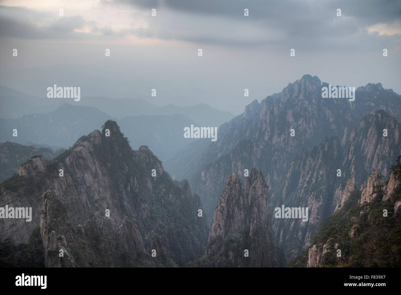 Giallo - Montagne Huangshan Anhui Provincia della Cina LA008449 Foto Stock