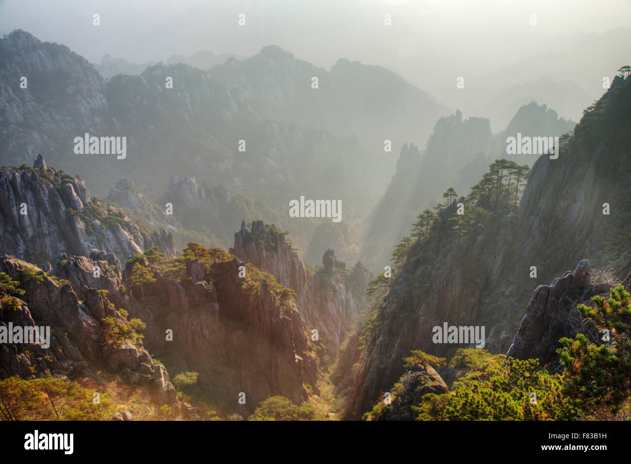Giallo - Montagne Huangshan mattina presto provincia di Anhui Cina LA008477 Foto Stock