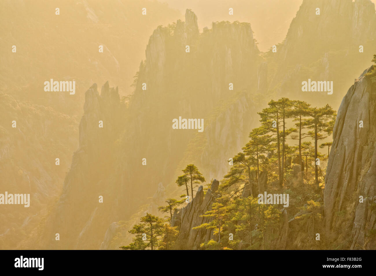 Montagne di giallo (Huangshan) - luce all'alba della provincia di Anhui Cina LA008493 Foto Stock