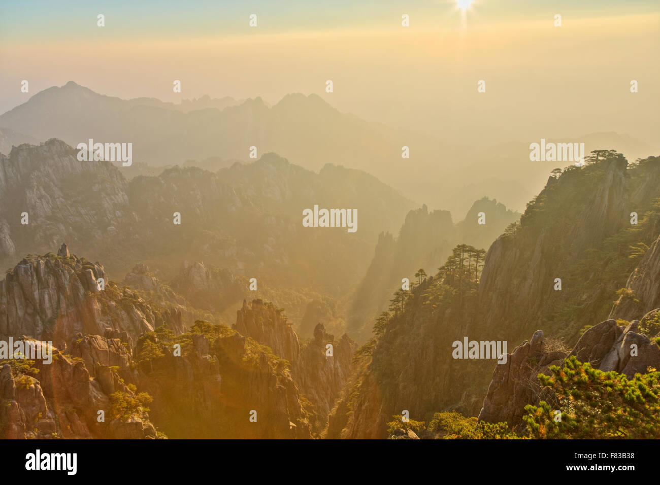 Montagne di giallo (Huangshan) - luce all'alba della provincia di Anhui Cina LA008513 Foto Stock