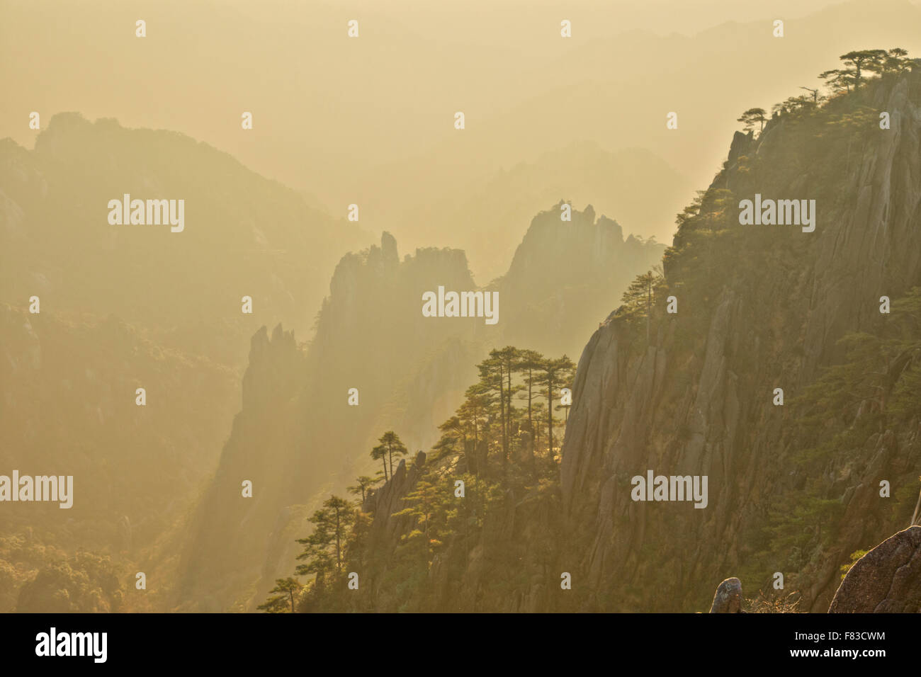 Montagne di giallo (Huangshan) - luce all'alba della provincia di Anhui Cina LA008517 Foto Stock