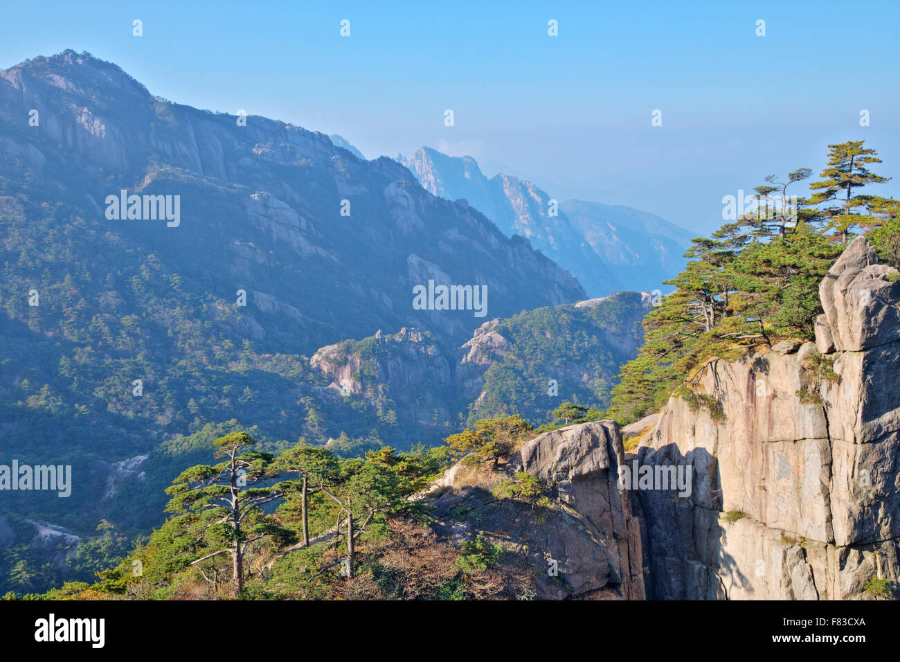 Montagne di giallo (Huangshan) provincia di Anhui Cina LA008533 Foto Stock