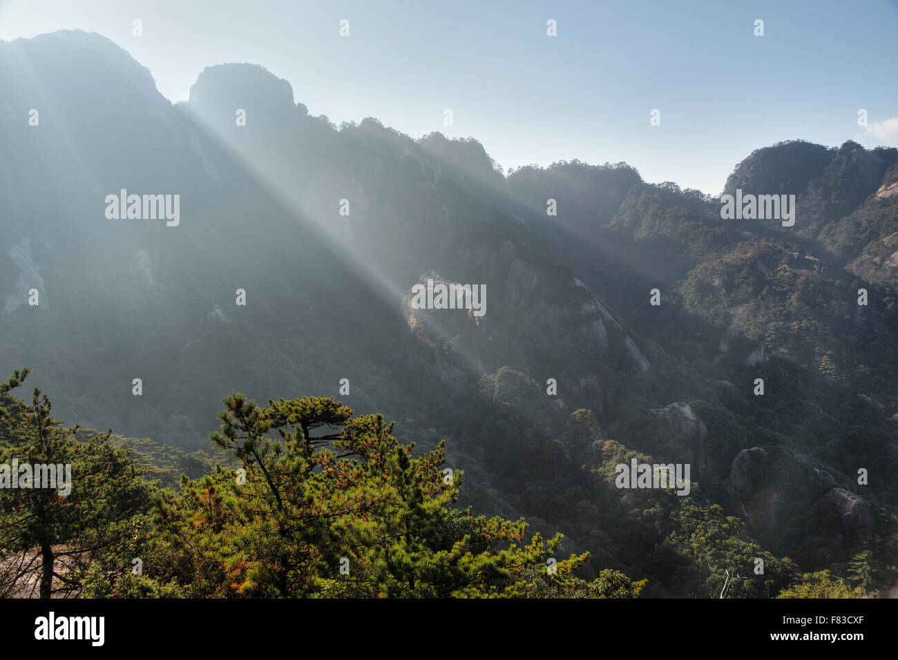 Montagne di giallo (Huangshan) - La mattina presto i raggi del sole della provincia di Anhui Cina LA008537 Foto Stock