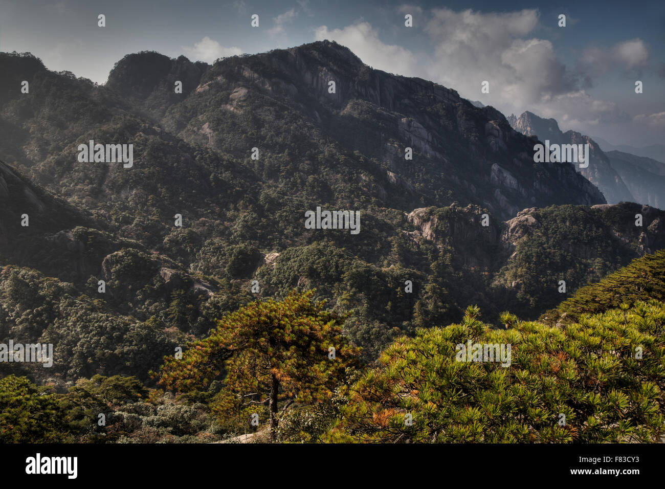 Montagne di giallo (Huangshan) provincia di Anhui Cina LA008553 Foto Stock