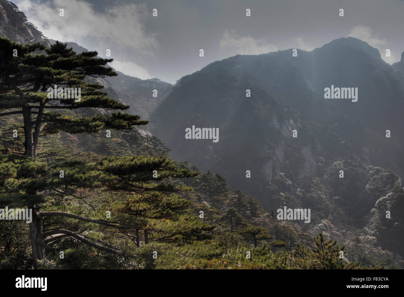 Montagne di giallo (Huangshan) - La mattina presto i raggi del sole della provincia di Anhui Cina LA008557 Foto Stock