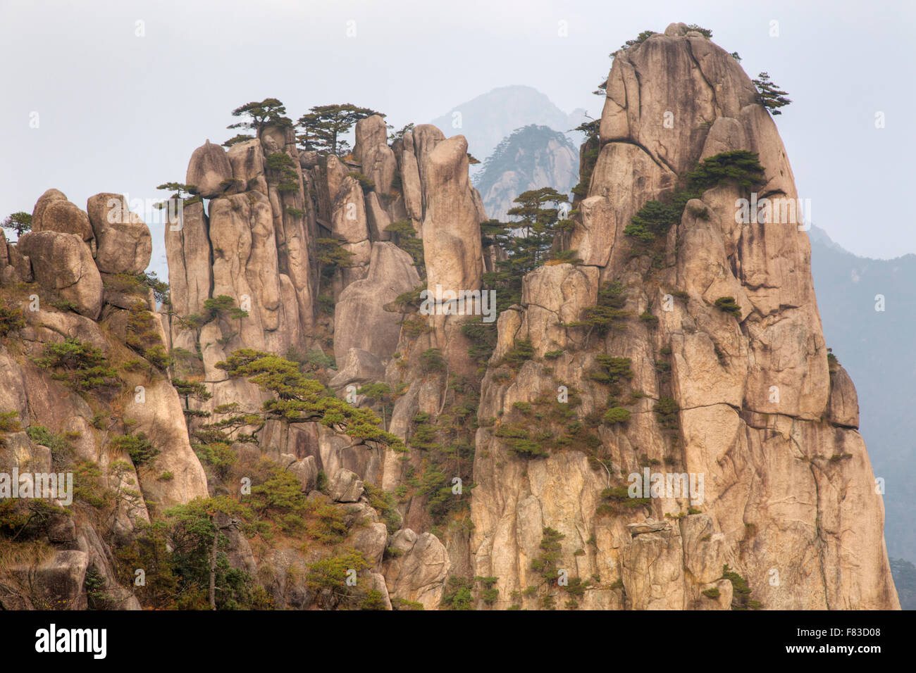 Montagne di giallo (Huangshan) provincia di Anhui Cina LA008577 Foto Stock