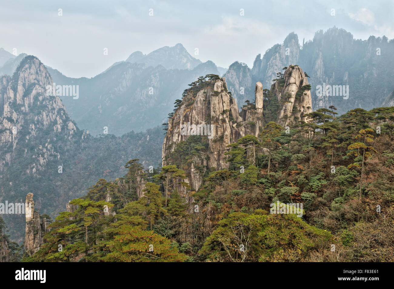 Montagne di giallo (Huangshan) provincia di Anhui Cina LA008585 Foto Stock
