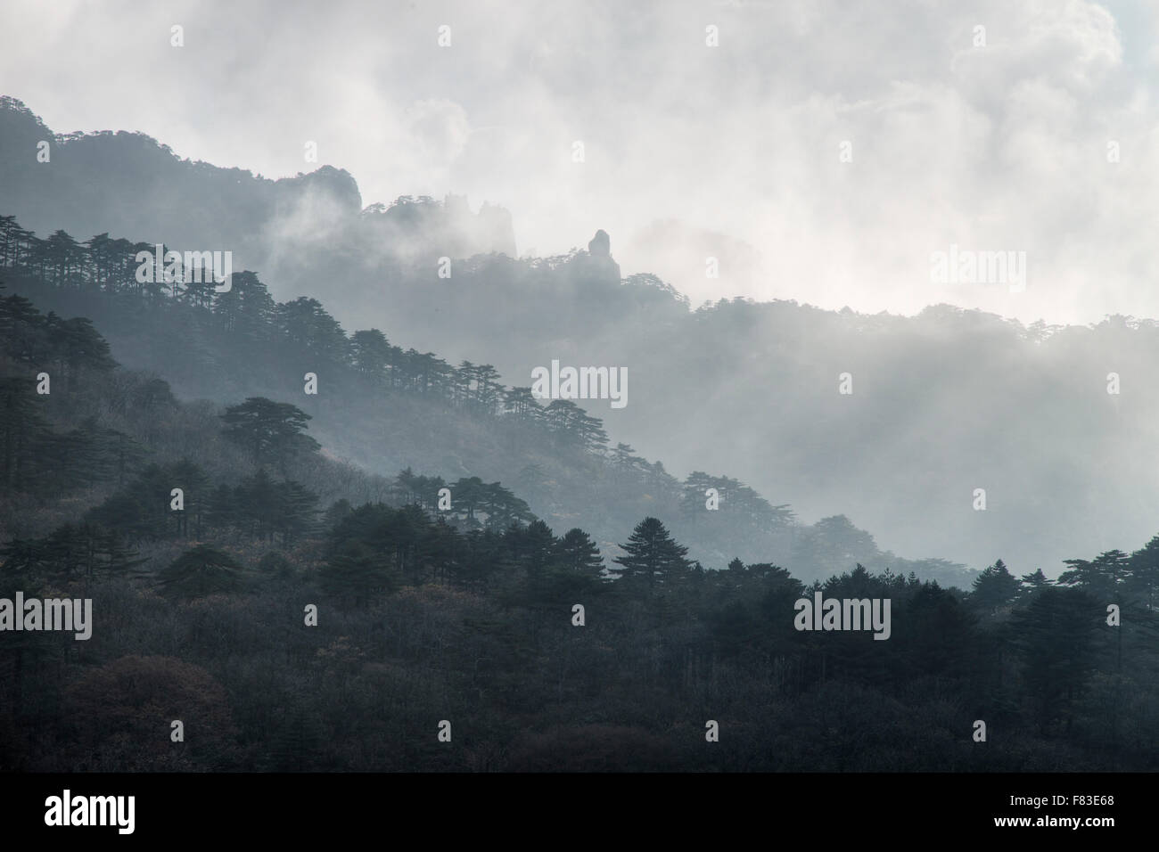 Montagne di giallo (Huangshan) - Bassa Cloud provincia di Anhui Cina LA008589 Foto Stock