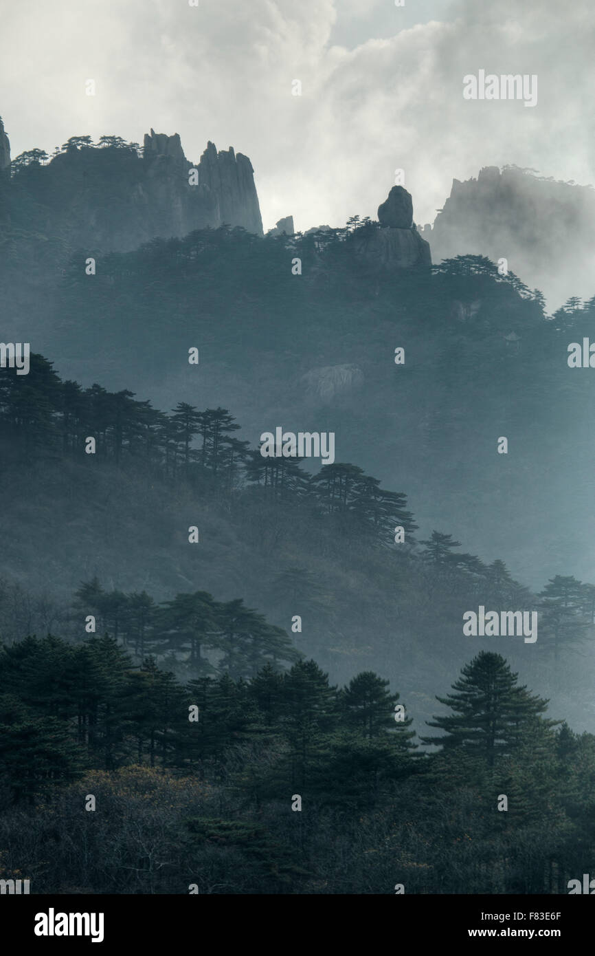 Montagne di giallo (Huangshan) - Bassa Cloud provincia di Anhui Cina LA008593 Foto Stock