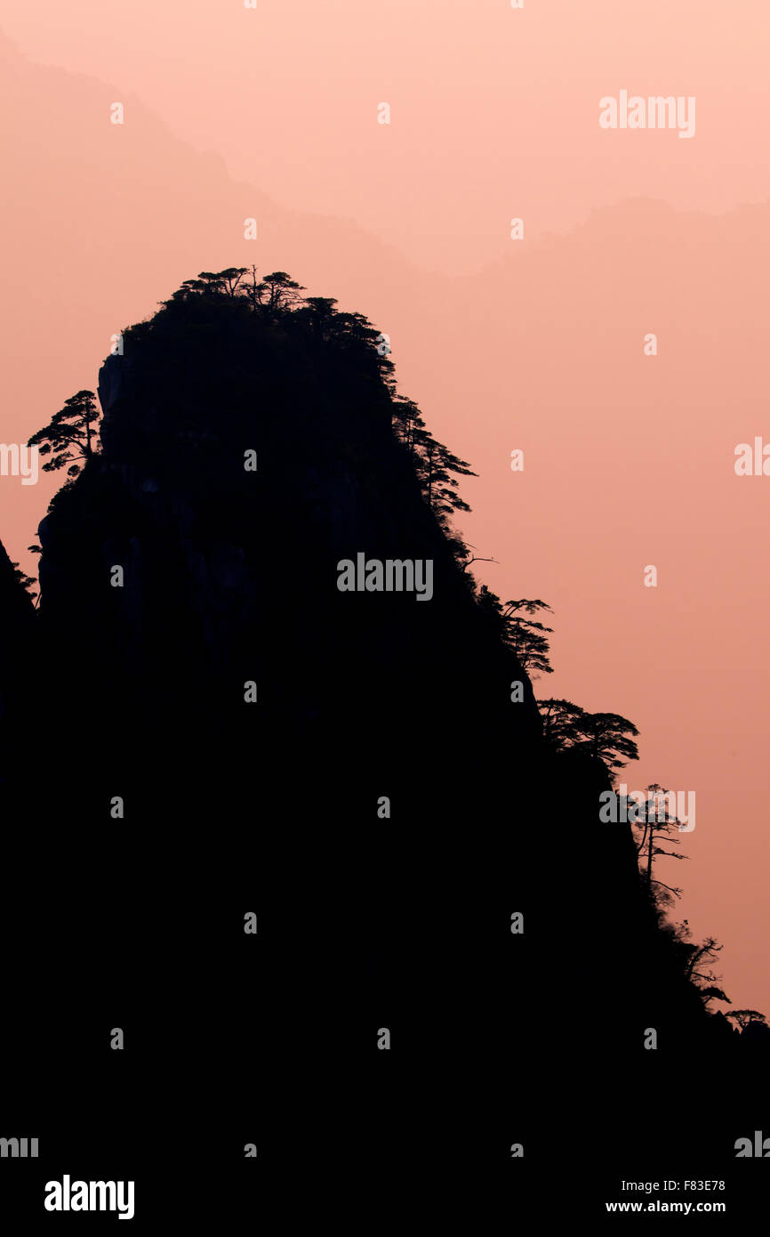 Alberi retroilluminato e montagne a Alba montagne giallo (Huangshan) provincia di Anhui Cina LA008601 Foto Stock