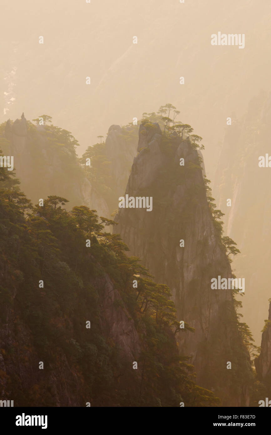 Alberi retroilluminato e montagne a Alba montagne giallo (Huangshan) provincia di Anhui Cina LA008602 Foto Stock