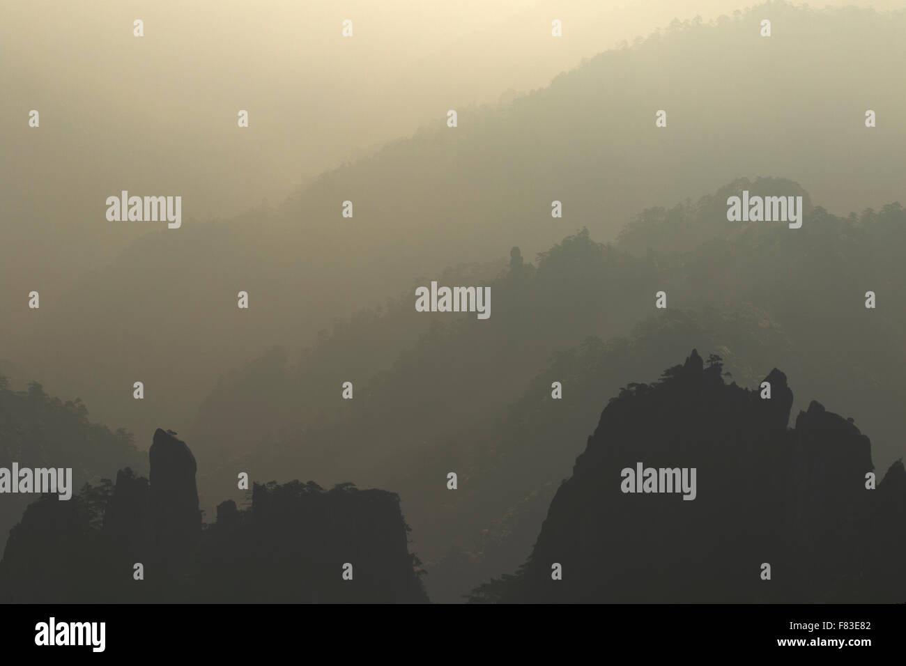 Alberi retroilluminato e montagne a Alba montagne giallo (Huangshan) provincia di Anhui Cina LA008612 Foto Stock