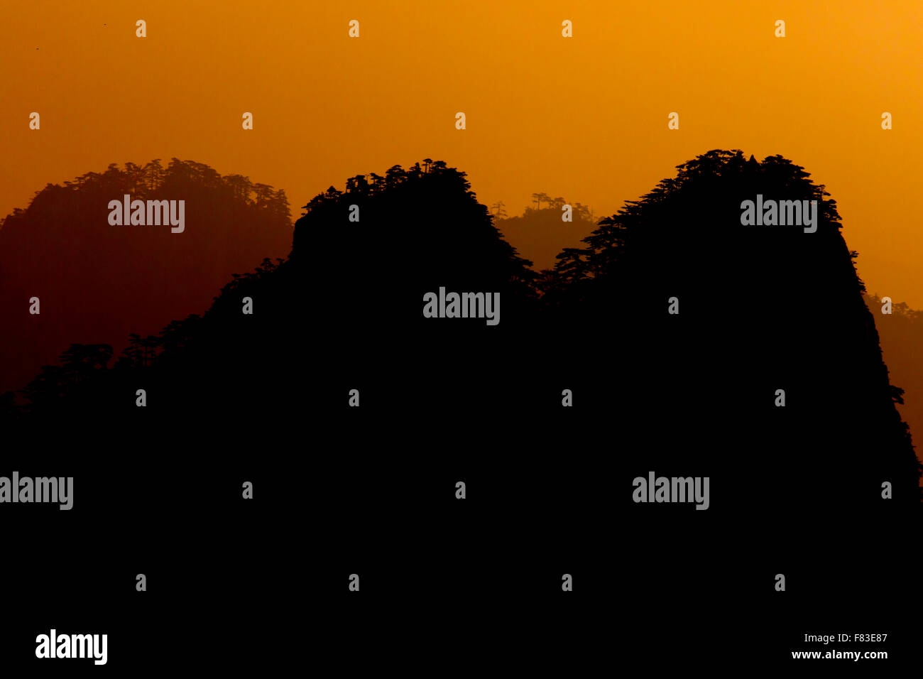 Alberi retroilluminato e montagne a Alba montagne giallo (Huangshan) provincia di Anhui Cina LA008613 Foto Stock