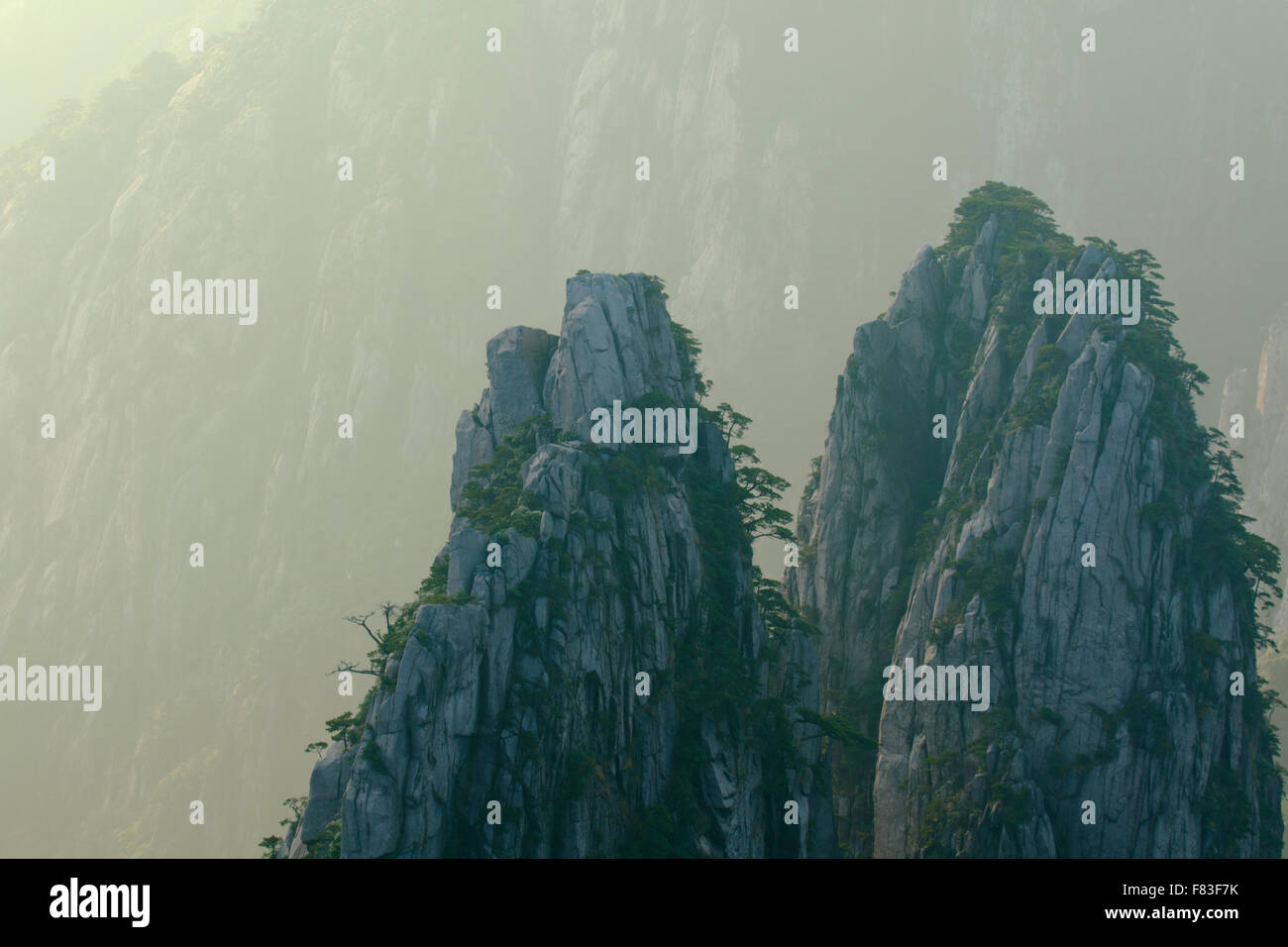 La mattina presto luce gialla montagne (Huangshan) provincia di Anhui Cina LA008629 Foto Stock