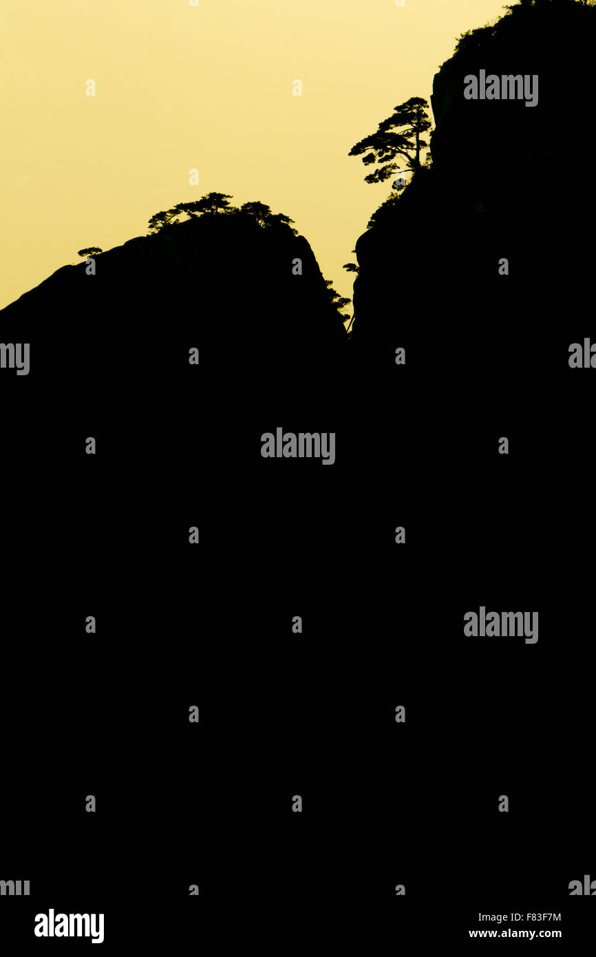 La mattina presto luce gialla montagne (Huangshan) provincia di Anhui Cina LA008630 Foto Stock