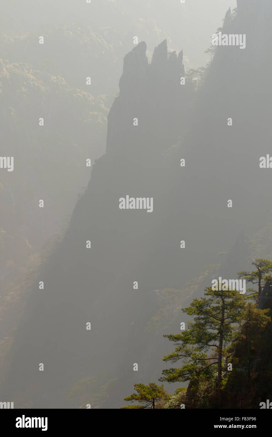 La mattina presto luce gialla montagne (Huangshan) provincia di Anhui Cina LA008636 Foto Stock