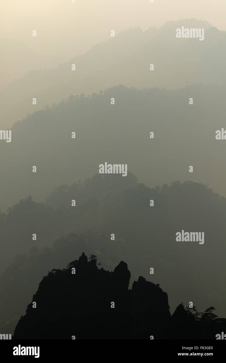 La mattina presto luce gialla montagne (Huangshan) provincia di Anhui Cina LA008637 Foto Stock