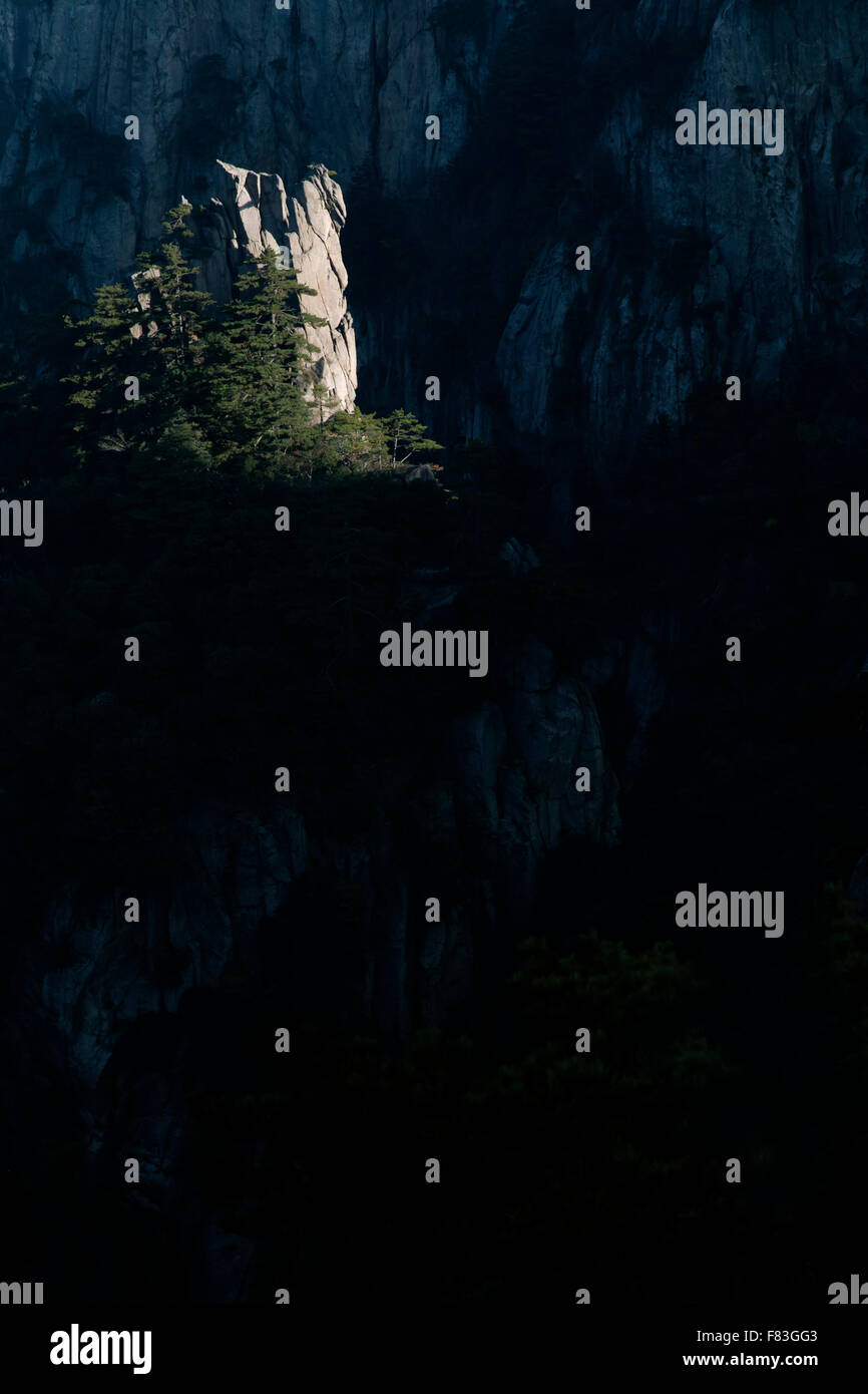 La luce del sole la cattura di affioramento roccioso retroilluminato pendici boscose montagne giallo (Huangshan) - luce all'alba della provincia di Anhui Cina LA008641 Foto Stock